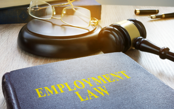 Labour & Employment Lawyer Toronto: What Are Your Workplace Rights in Ontario and When Should You Speak to a Lawyer?